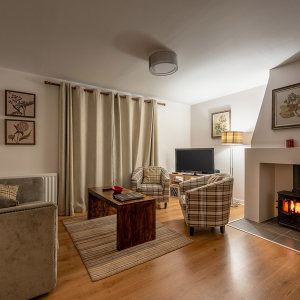 Courtyard Cottage 4 - Brora accomodation&#039;s living room with a burning stove at Abbey Holidays Loch Ness