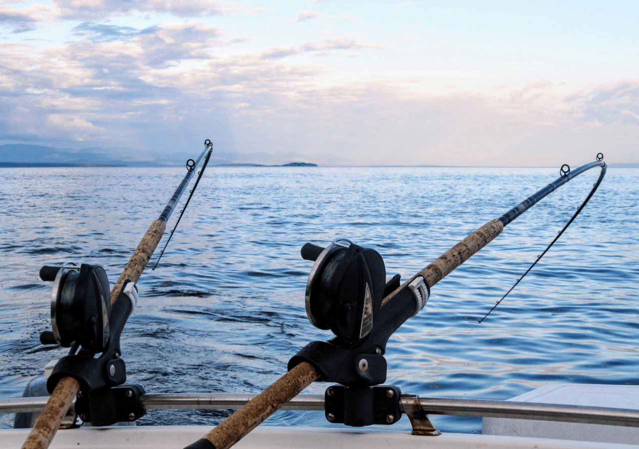 Two fishing rods on a boat.
